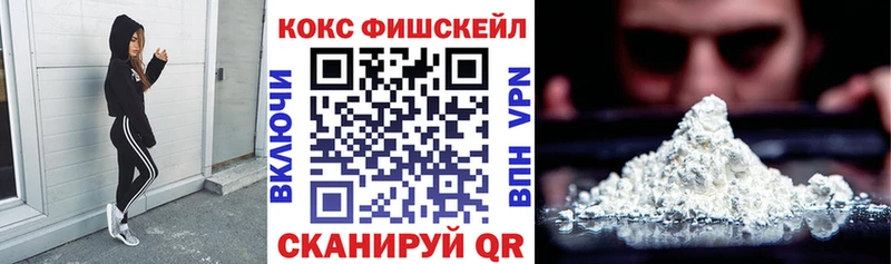 Купить  Вилюйск  COCAIN Fish Scale 