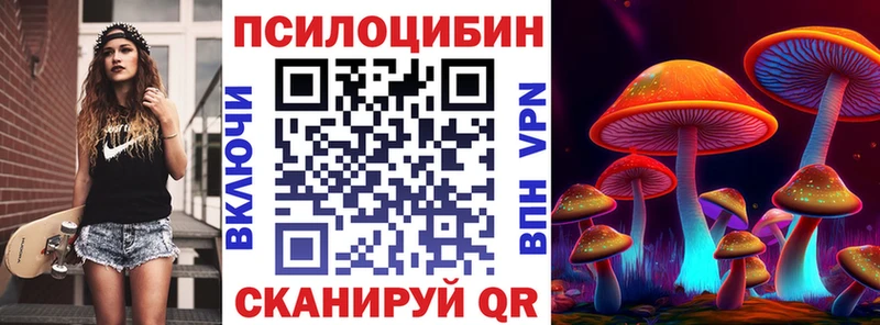 Купить где  Вилюйск  Псилоцибиновые грибы мицелий 